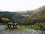 Autumn Views