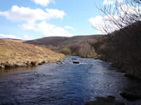Upper Towy River